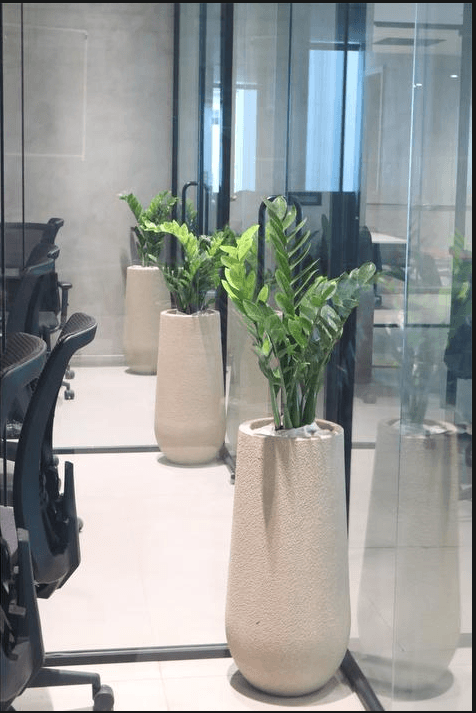 Luxury Resort Spa Gardens